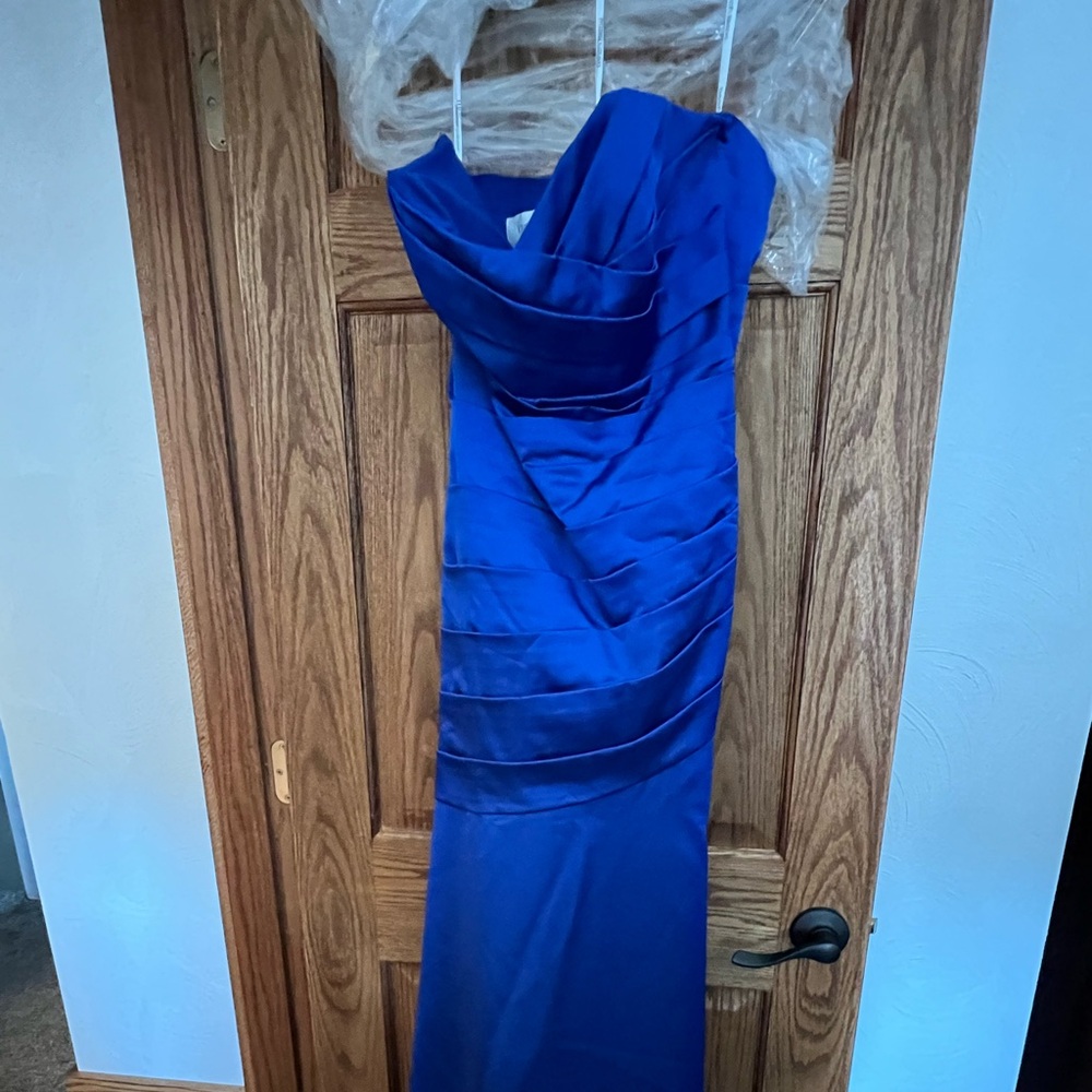 David's bridal size 14 strapless long dress